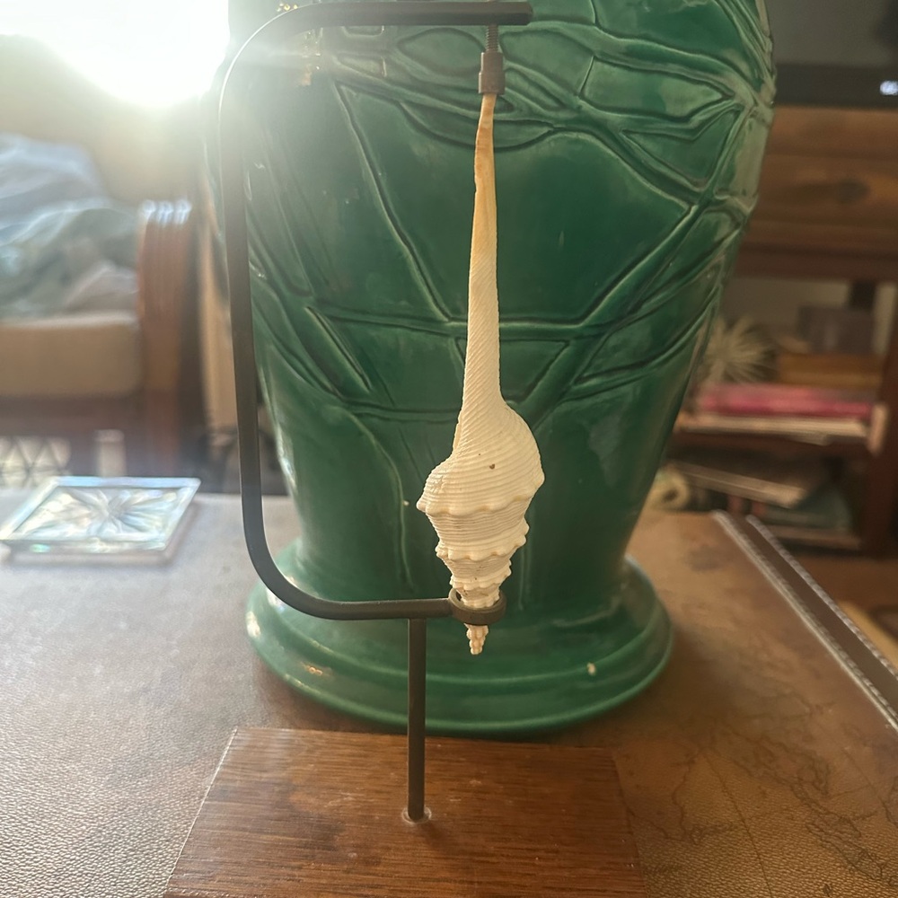 Elegant Shell Decor brass tension and wood Stand - Picture 3 of 7